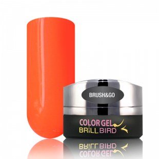 Brush & Go Color Gel Go16  4.5ml