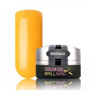 Brush & Go Color Gel Go65  4.5ml