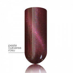 Cat Eye Gel&Lac Purple  5ml