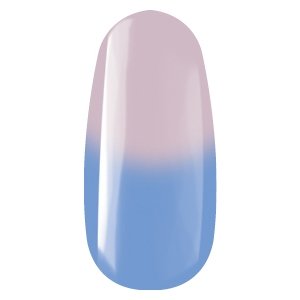 Color Gel - 231 (5ml)