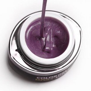 Frosty Color Gel F10  5ml