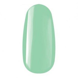 Praf Acryl Color - 98 (3.5G)