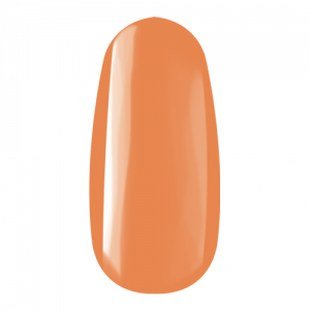 Praf Acryl Color - 99 (7G)